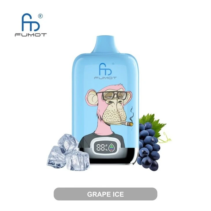 FUMOT DIGITAL BOX 12000 puffs