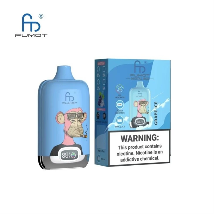 أفضل جودة RandM Digital Box 12000 نفث Wholoesale Vape
