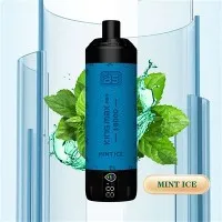 بي اس كينج ماكس برو 18000 مزة